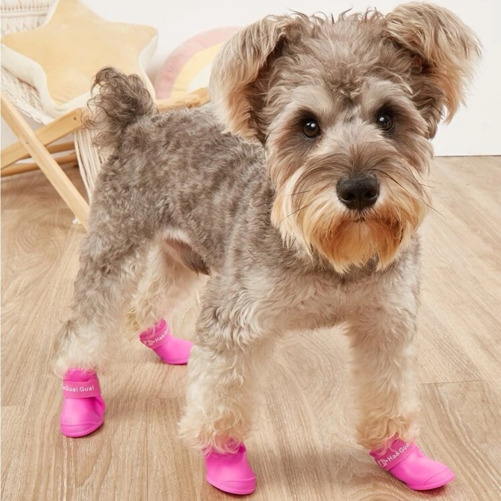 Dog Rain Boots 🌧️ ☔️ 🐶 🐕 Brand New NWOT